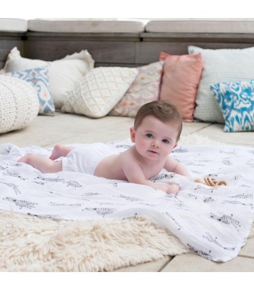 Aden + Anais Muslin Swaddle 2pk - Time to Dream