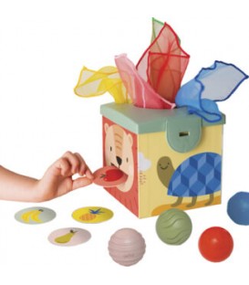 Taf Toys Magic Box