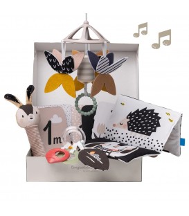 Taf Toys Newborn Black And White Kit