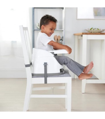 Ingenuity Baby Base 2-In-1 Seat Sea Mist