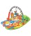 Playgro 5 In 1 Safari Gym
