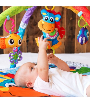 Playgro Clip Clop Activity Gym With Music