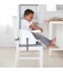 Ingenuity Baby Base 2-In-1 Seat Slate Grey