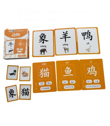 Curios - Flashcard (Simplified Chinese)