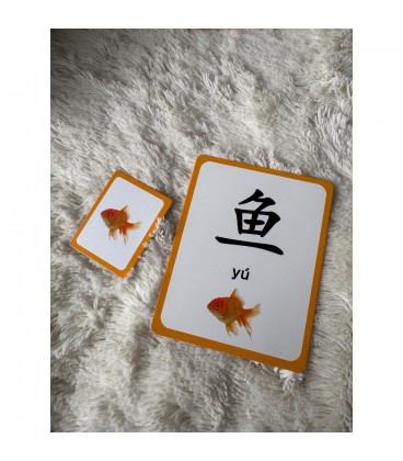 Curios - Flashcard (Simplified Chinese)