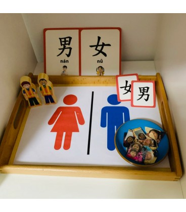 Curios - Flashcard (Simplified Chinese)