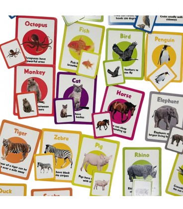 Curios Matching Flashcard - Animals