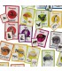 Curios Matching Flashcard - Animals