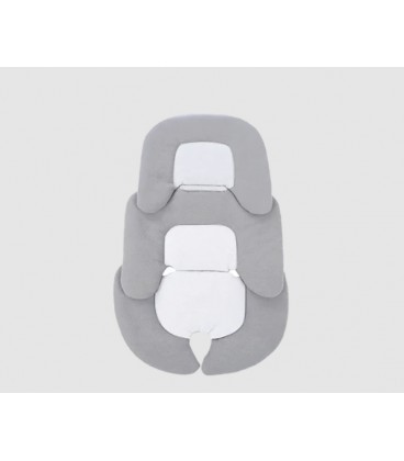 Hamilton Head & Body Support