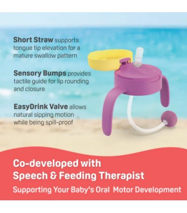 Pigeon StarTouch™ Adaptor & Straw Set (Assorted Colours)