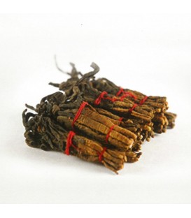 American Ginseng with Cordyceps Essence