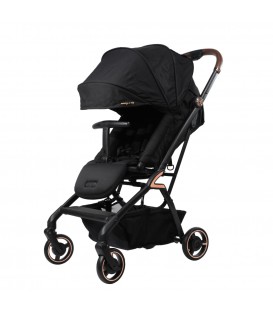 buggy travel system