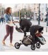 Evenflo Pivot Xpand™ Modular Travel System w/ SafeMax Infant Car Seat - Percheron Gray